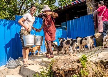 No Dogs Left Behind advocates care for rescued dogs in Beijing, China Yulin Meat Festival