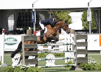 A rider at the Hampton Classic Horse Show