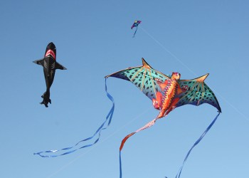 Dan's Papers Kite Fly, Photo: Tom Kochie