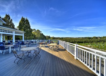 The Bedell Cellars Events Pavilion overlooking the vineyard