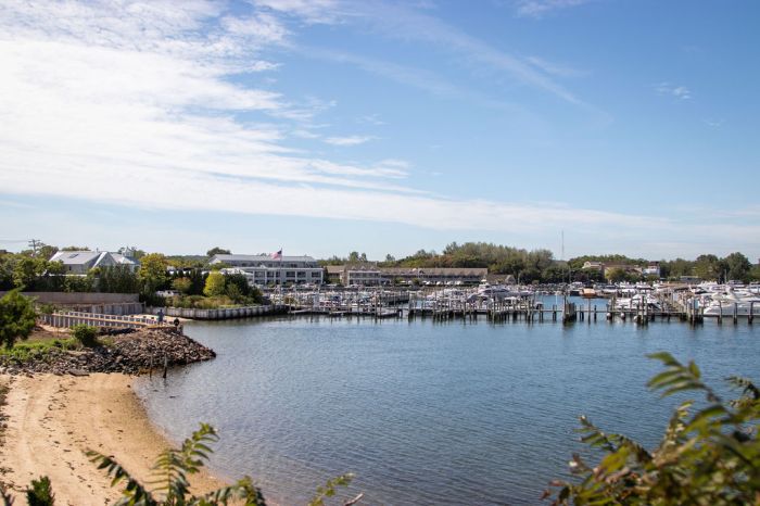 View of Baron's Cove in Sag Harbor