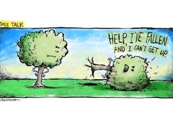 Tree Talk cartoon by Mickey Paraskevas