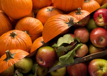 Freshly picked apples and pumpkins