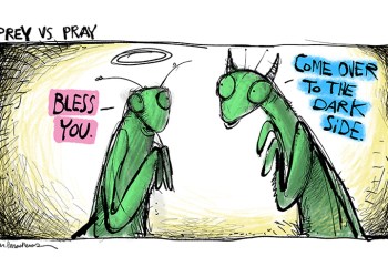 Preying mantis cartoon by Mickey Paraskevas