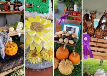 Previous Riverhead Country Fair competition entries