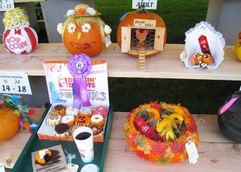 Pumpkin decorating entries