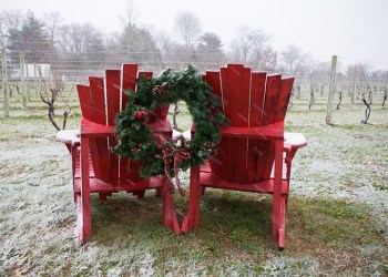 Sannino Vineyard dressed for the holidays on the North Fork