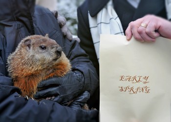 Groundhog Day