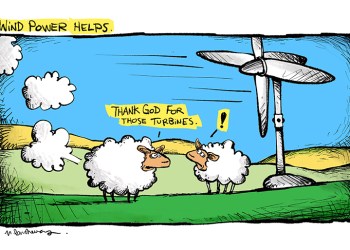 Block Island wind farm and sheep cartoon by Mickey Paraskevas