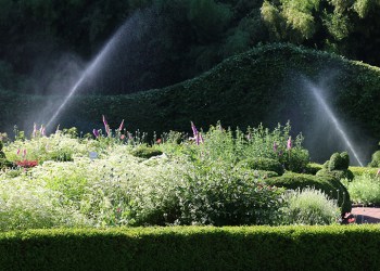 RB Irrigation sprinklers over flowers