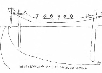 Dan Rattiner cartoon with birds observing social distancing on telephone wires