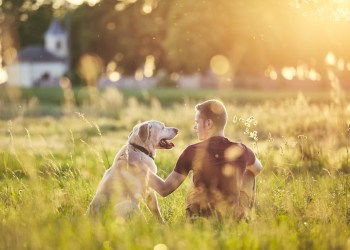 Man with his dog at sunset