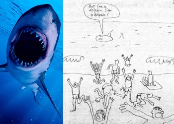 Expectation vs. reality, Photo: 123RF, Drawing: Dan Rattiner