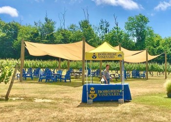 Borghese Vineyard's beautiful outdoor space, Photo: Allissa Goodale, ©Borghese Vineyard