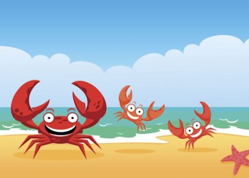 Family of crabs on a beach