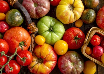 Colorful assortment of fresh organic heirloom tomatoes sitting on wooden table