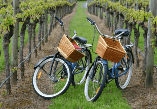 wine bike