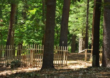 Sylvester Manor's Afro-Indigenous Burial Ground, Photo: Sylvester Manor Educational Farm