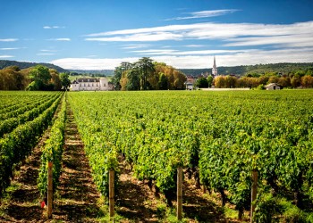 Château de Meursault in Burgundy, France, Photo: 123RF