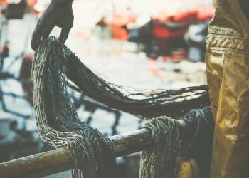 Fisherman at work, pulling the nets