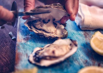 Oysters on plate with ice and lemon