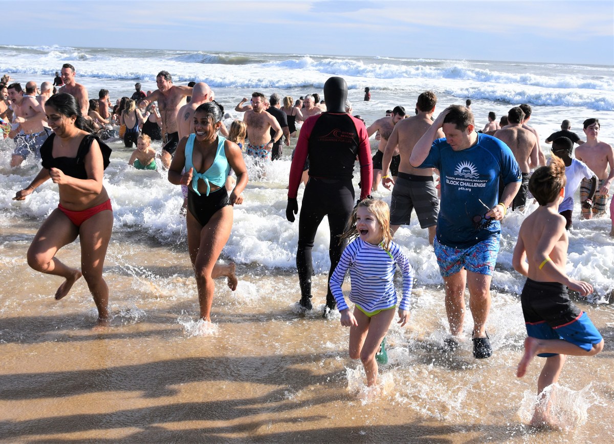 Heart of the Hamptopns Polar Bear Plunge nonprofits