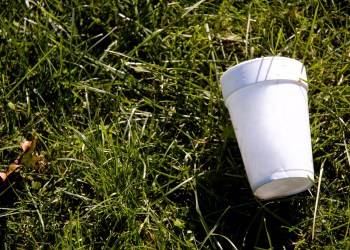 A styrofoam cup on the grass representing litter