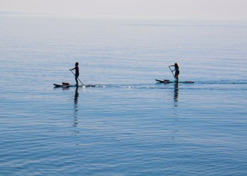 paddleboard