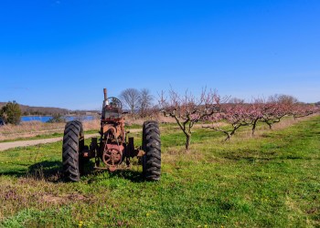 Wickham Farm is the subject of Southold Historical Society's first talk in the 2023 Winter Lecture Series