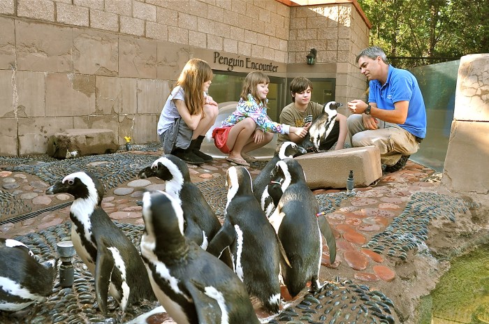 The Long Island Aquarium in Riverhead is a great place to take the kids.