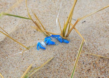 Plastic Waste at the Seaside 3