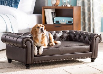 Archie & Oscar Brown Cornelia Dog Sofa, $399.99