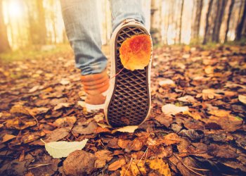 Feet sneakers walking on fall leaves Outdoor with Autumn season nature on background Lifestyle Fashion trendy style