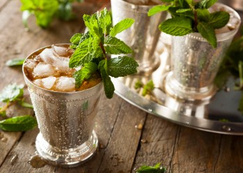 Ice cold mint julep in a metal cup