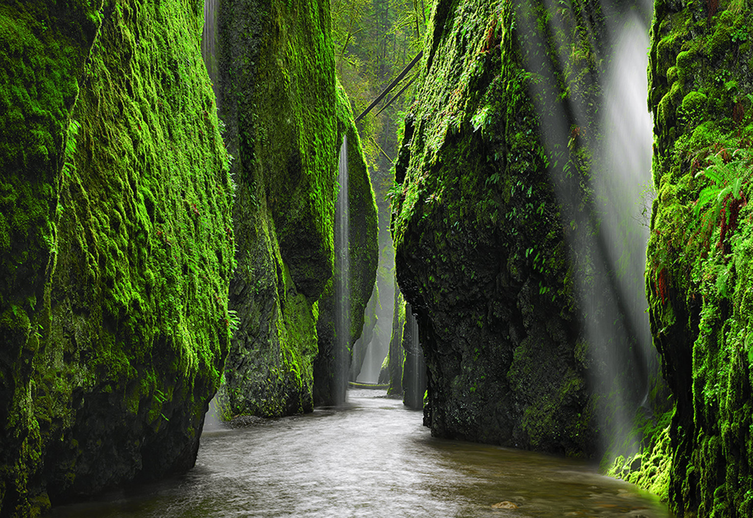 Peter Lik: Landscape Dreams – Dan’s Papers