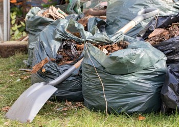 Garden waste. Brown leaves and rubbish collected from gardening tidy.