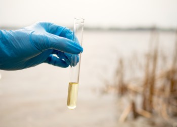 A water sample from the river.