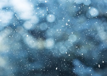 Winter scene - snowfall on the blurred background