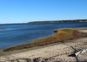 Peconic Land Trust