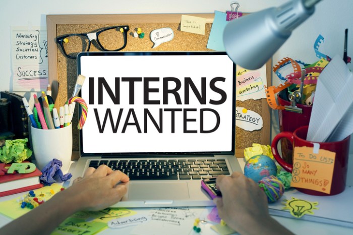 interns wanted