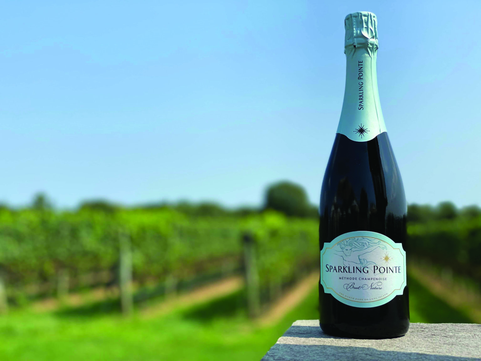 Sparkling Pointe Releases LowAlcohol, LowCalorie Wine