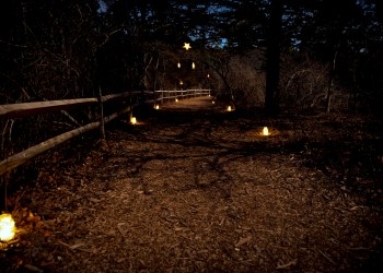 Quogue Wildlife Refuge looks extra magical during the Light the Night Walk.