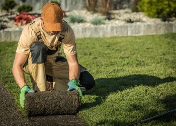 New Natural Grass Lawn