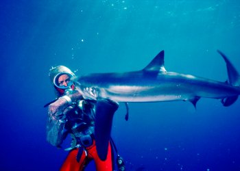 Film still of Valerie Taylor from “Playing With Sharks,” screening April 24 at Sag Harbor Cinema