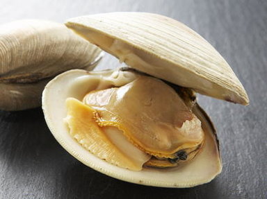 How to Open a Clam with The Clam Bar's Leigh Goodstein