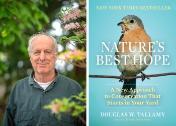 Doug Tallamy, author of 