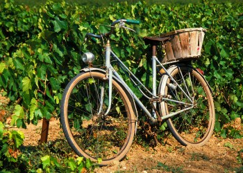 A bike through North Fork Wine Country is a lovely way to spend the weekend