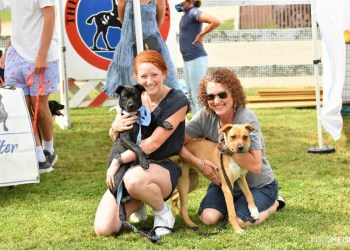 Gimme Shelter Animal Rescue participating in Animal Welfare and Adoption Day