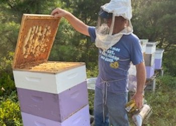 Chris Kelly and his bees at the East Hampton Airport beekeeping project