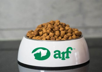 Support local pets or find support for your own pet with ARF in the Hamptons